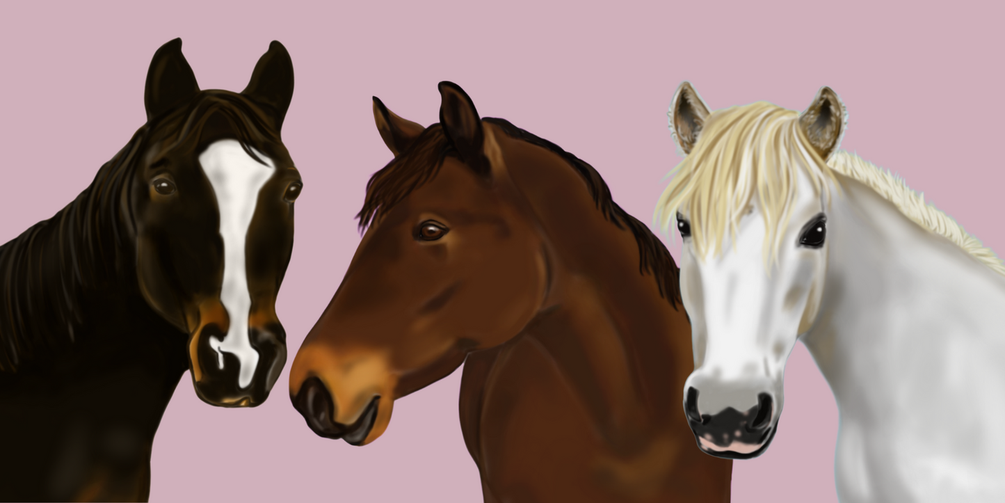 Equine Portraits 2 Horse Headshot With Basic Background