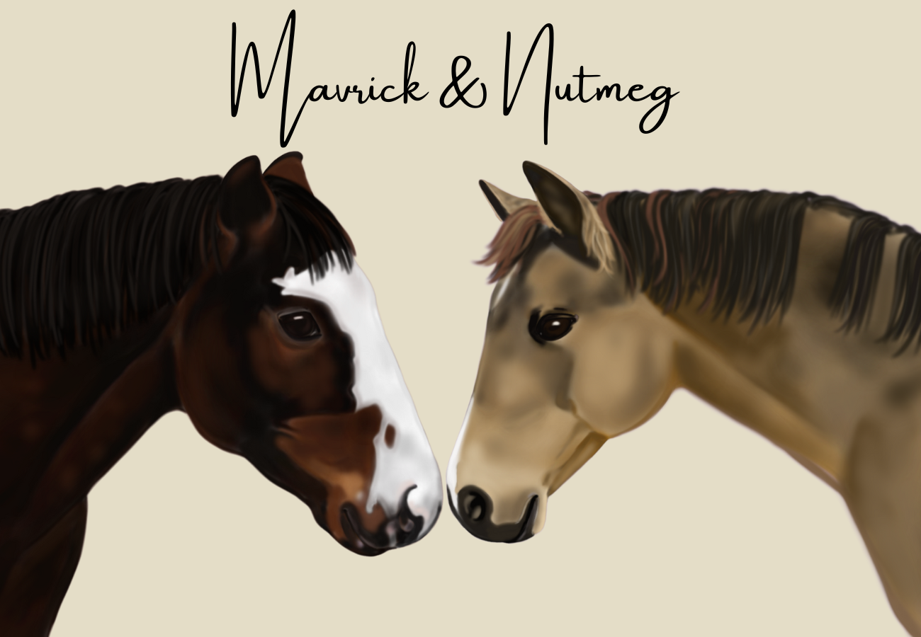 Equine Portraits 2 Horse Headshot With Basic Background