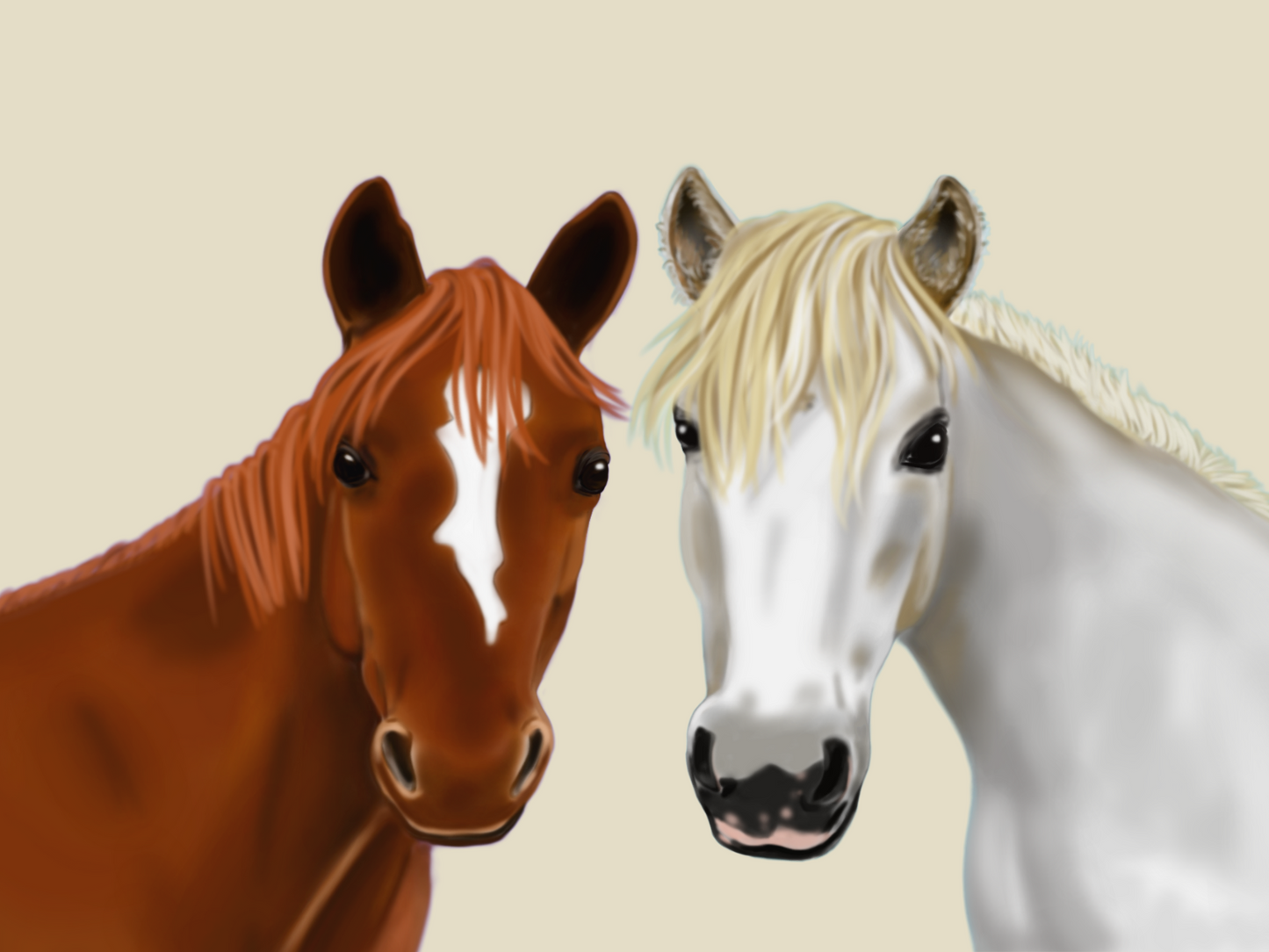 Equine Portraits 2 Horse Headshot With Basic Background