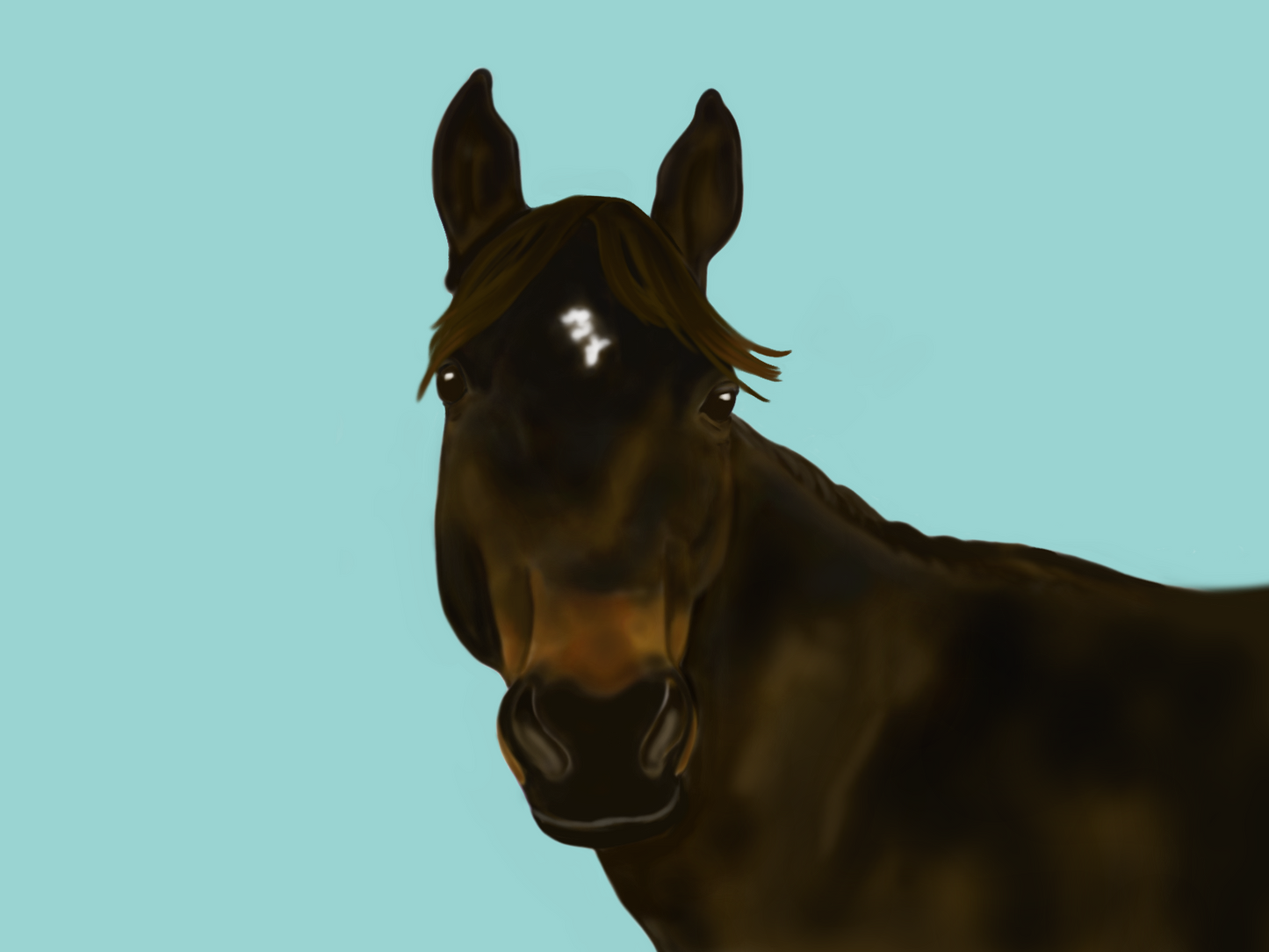 Equine Portraits 1 Horse Headshot With Basic Background