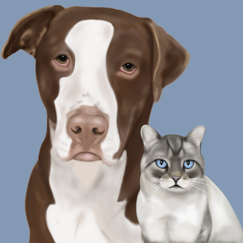 Custom Hand Drawn Pet Portraits